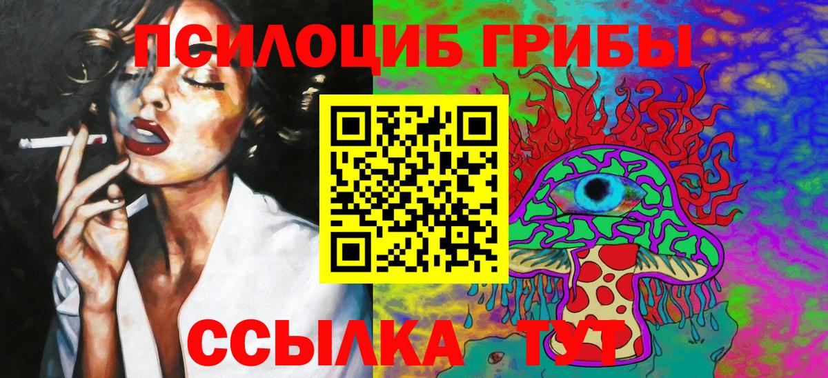 Псилоцибиновые грибы Cubensis Черняховск