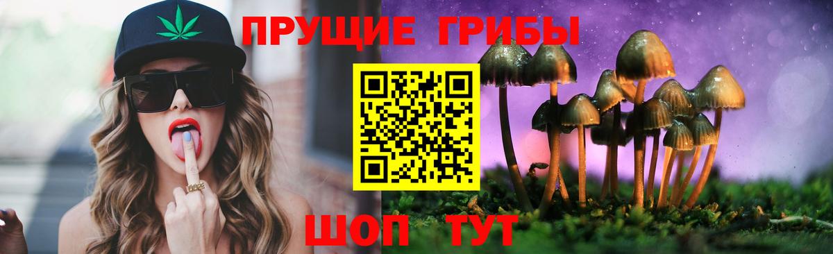 Псилоцибиновые грибы ЛСД  Вход с VPN  Черняховск 